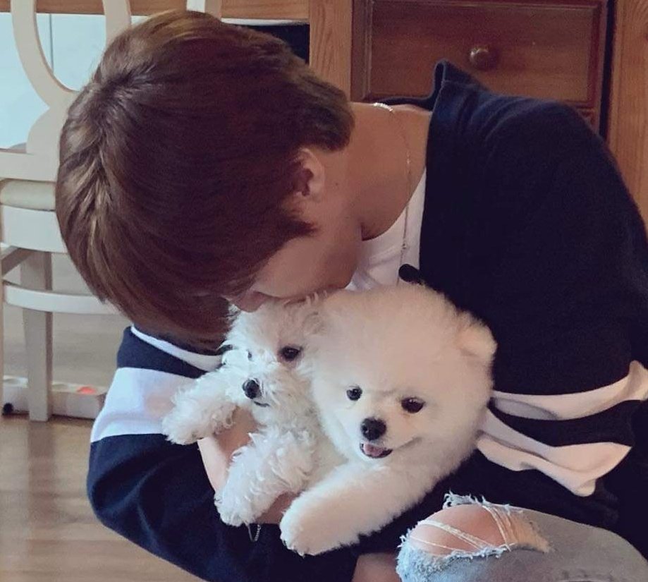 bluerose_KWS's tweet photo. Wooseok kissed ddadda ppoppo. Precious! https://t.co/cAnLsRBCYb
