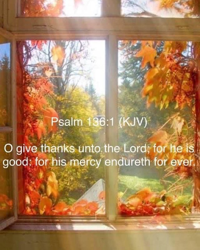 “Careful for nothing, prayerful for everything, thankful for anything.”
— D.L. Moody