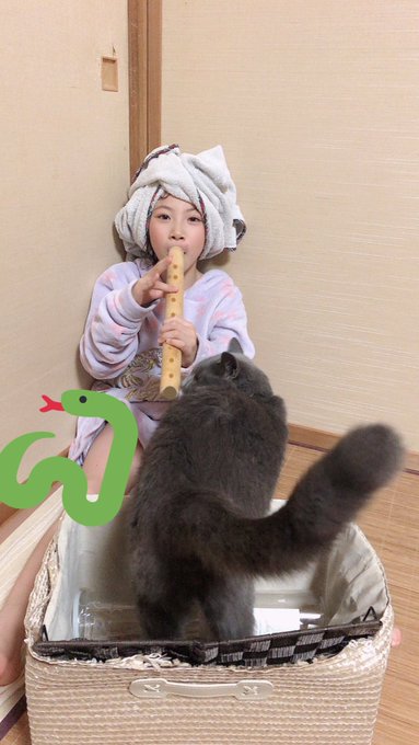 LINOのTwitter画像6