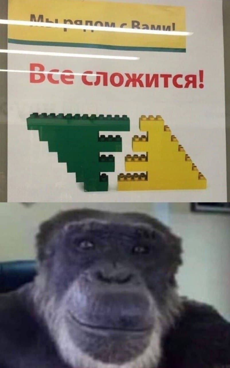 E1VANHJWQAQyO1M?format=jpg&name=large