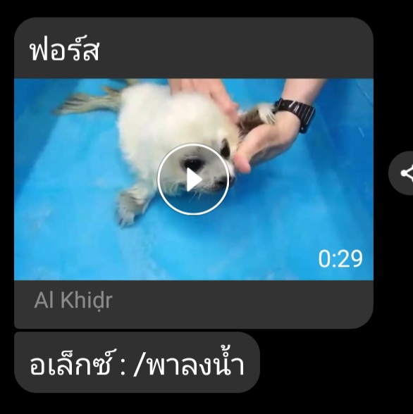 Fors_PCHS's tweet photo. ( ซีขำ คุณพ่อบ้านเห็นน้องเป็นแมวน้ำ 555 ตะมุตะมิ ) https://t.co/VJIVnvlork
