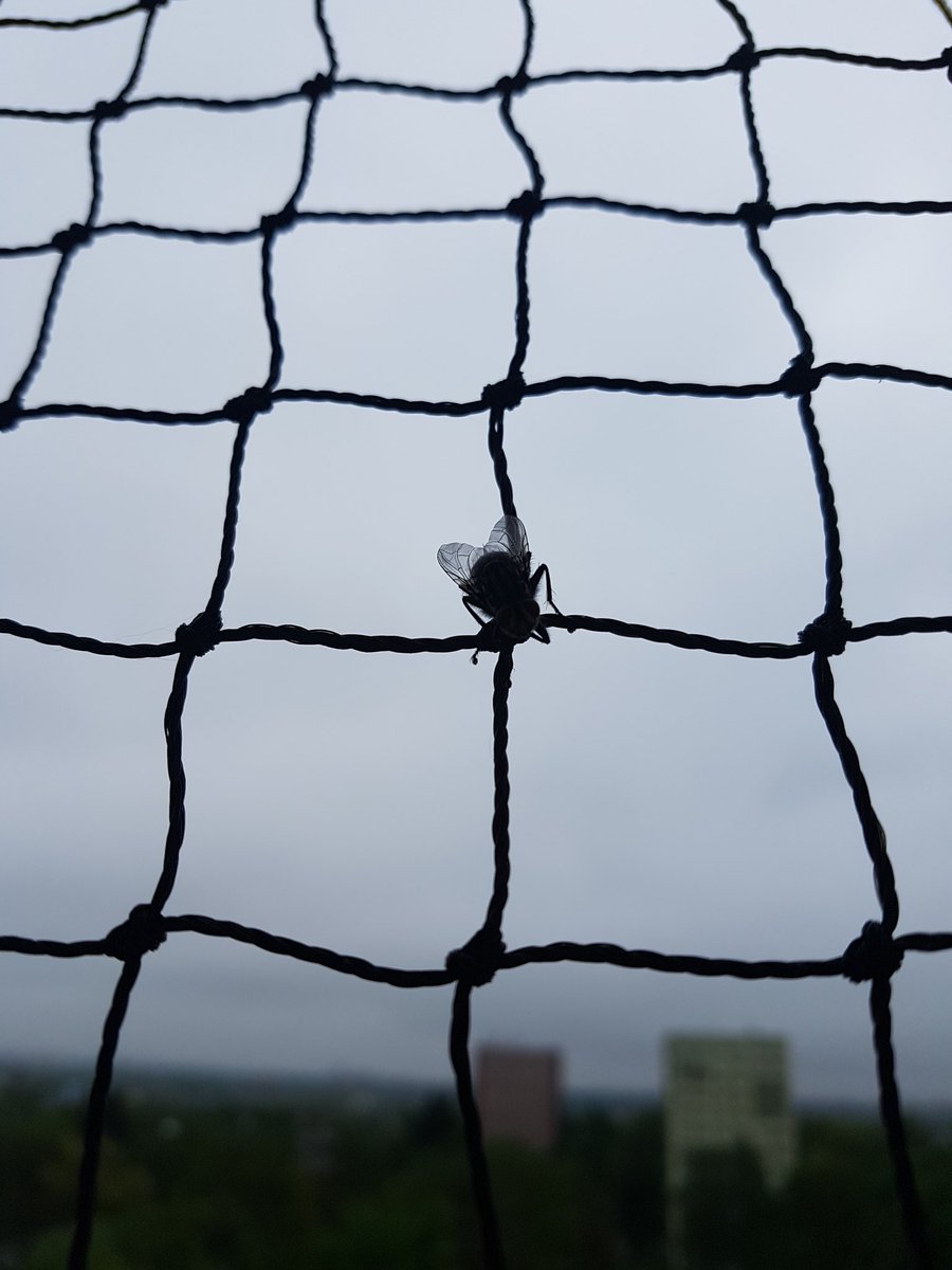 DEROVA4's tweet image. 