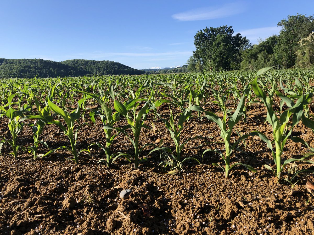 Julien Barthe (@BartheJulien6) | Twitter