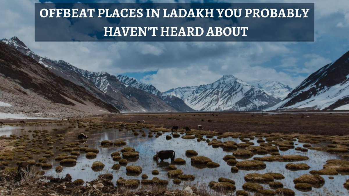 backpackclan's tweet photo. Have a look at some of the offbeat places that you shouldn’t miss out on exploring.

https://t.co/F5bga5QG2Y

#ladakh #trip #travel #offbeatplaces #india #leh https://t.co/dVeRH2E0Zz