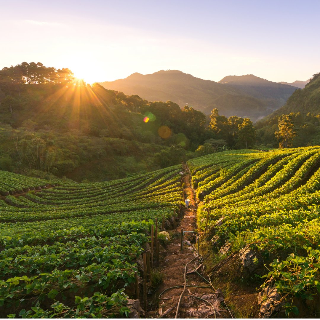 EatoSystem tweet media