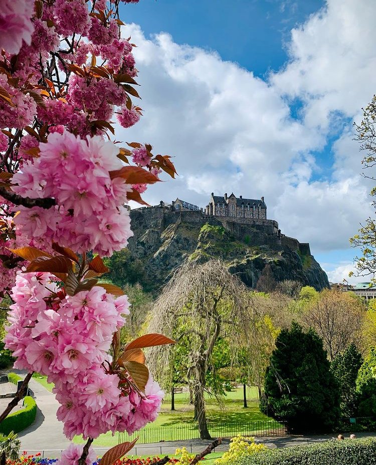 Quaintlyuk's tweet photo. 💙 Happy Friday 🥰 What is your favourite British castle? 🏰

📷 @wheninscotland_
📍 Edinburgh Castle

#lovebritishlifestyle #quaintlyandco #quaintlyuk #bestofbritish #madeinbritain #beautifulbritain #historicalpalace #edinburghcastle #scotlandcastle https://t.co/hyP35xJ2j3