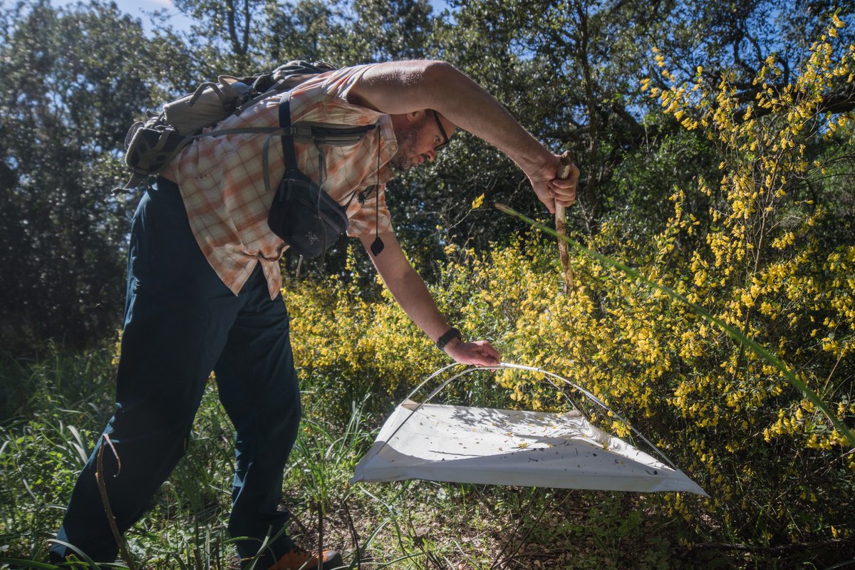 Muséum national d'Histoire naturelle tweet media