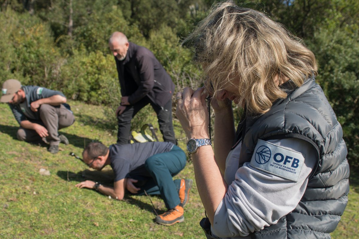 Muséum national d'Histoire naturelle tweet media