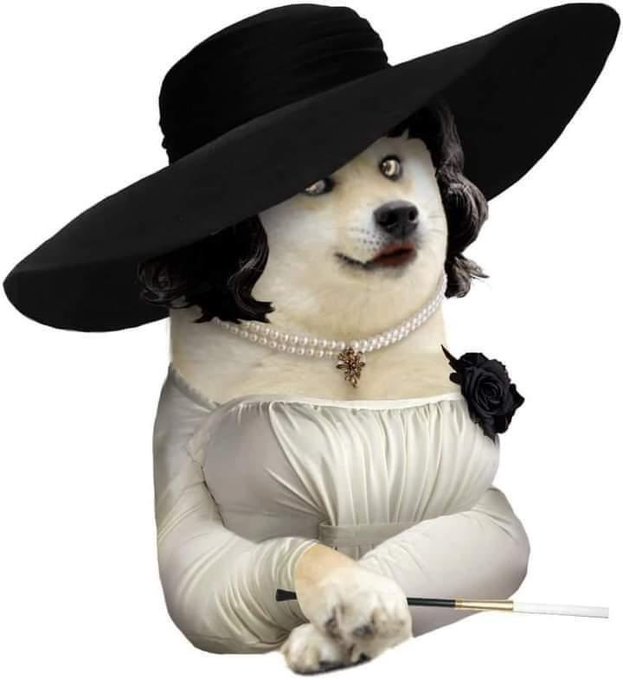 🤨 https://t.co/xFXlZ2oDXw<a href="/tag/avnexpo"class="tags"><span>#avnexpo</span></a>