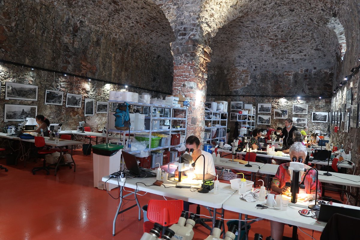 🌍 Dernière mission de terrain pour les scientifiques de la #LaPlanèteRevisitée en #Corse ! Du 10 au 28 mai, plus de 80 personnes aux compétences variées explorent la #biodiversité négligée de l'Île de Beauté.
👉 Plongez dans le quotidien des chercheurs : laplaneterevisitee-corse.mnhn.fr