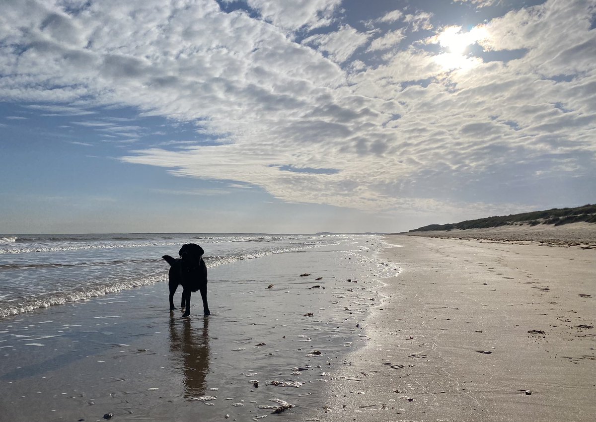 ProbertAngela's tweet photo. #MentalHealthAwarenessWeek For many the isolation over the last year has been challenging. For me, working from home has let me use my ‘commute’ time for early morning and evening walks #Mindfulness https://t.co/IiWNHWf5MX