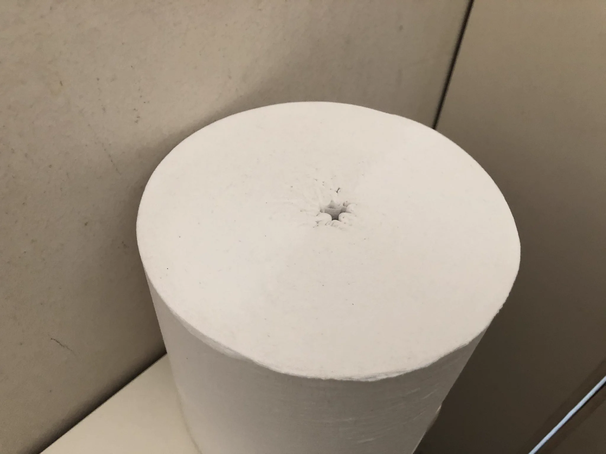 関係ないけどおしりの穴みたいなトイレっとペーパーがあった  