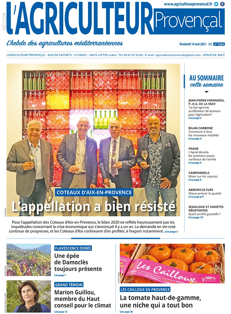 AgriProv's tweet image. À lire aujourd&apos;hui dans @AgriProv, #coteauxaixenprovence qui résistent bien à la crise, la #flavescentedorée 🍇toujours présente, les essais Aprel🍓, l&apos;interview de Marion Guillou sur la #transitionécologique, la tomate Les Cailloux
 à Rognonas....