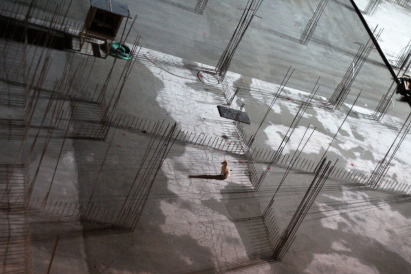 Adam Fryda tweet media