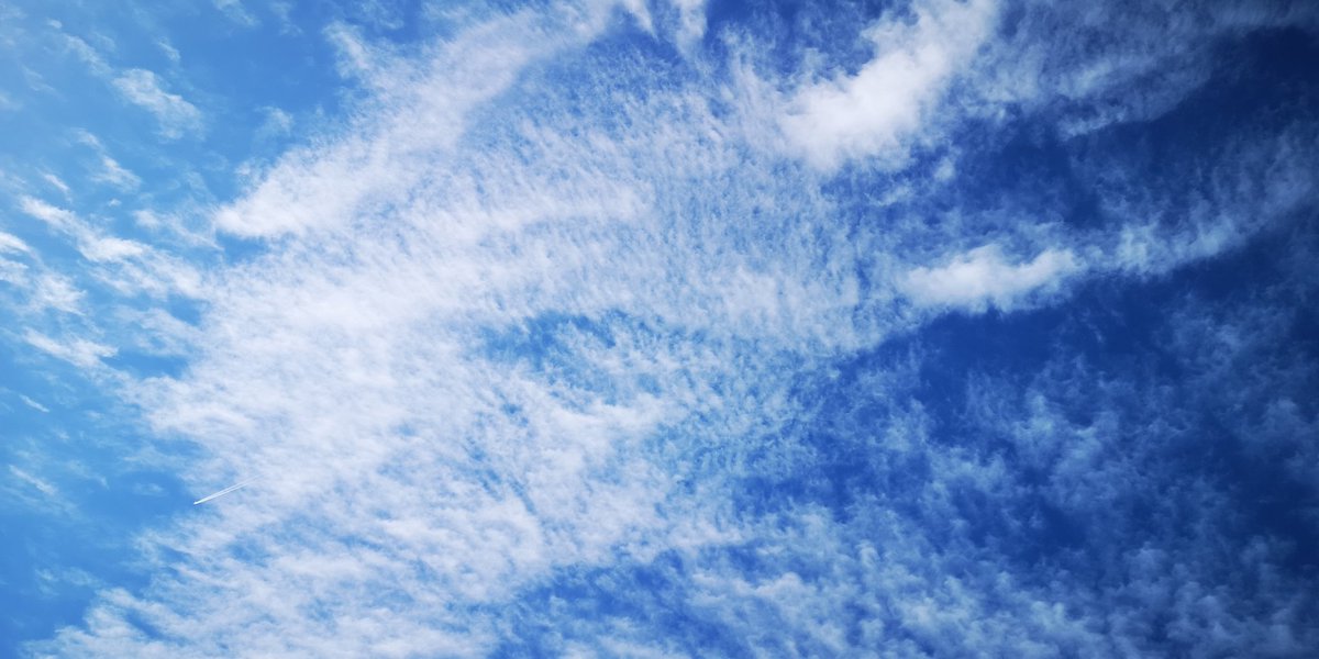 ShowMeTheSky1's tweet photo. #14Mayo Que de Cosas pasan en el cielo... #NubesNaturales 👀 #NubesWiFi 🔊🔊 #RaspatusBorregatus #MiraAlcielo #MiraHaciaArriba #CristalesDeHielo #VaporDeAgua #GeoIngenieria #HAARP #NexRad #SRM #ManipulaciónClimática No te pedimos que pienses como nosotr@s... solo que pienses https://t.co/b9oKs3dKWc