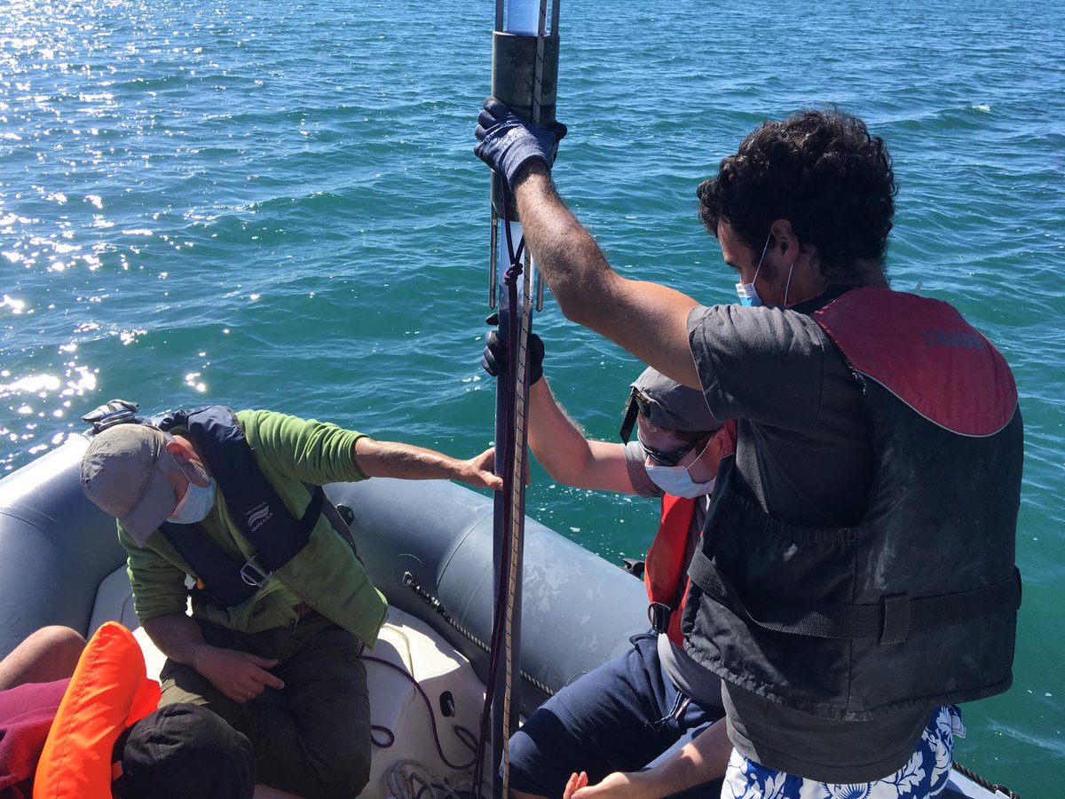 ARAID_ES's tweet photo. Jorge Pey, ARAID en @IPE_CSIC, ha hecho estos días sondeos en Formentera (en colaboración con @iphes e @IncipitCSIC), dentro del proyecto POSAHPI, que lidera, dirigido a la búsqueda de polvo sahariano🏜️ durante el periodo Holoceno
Aprende ➕ de #POSAHPI:
➡️https://t.co/oeYizAFCGJ https://t.co/EluUqRzZu6