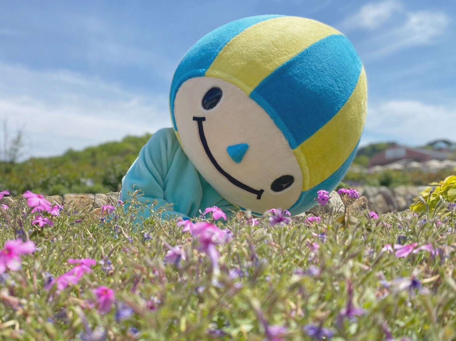 ミナモ 公式 お花のベットの上でねむれたら きもちいいだろうなぁ ミナモ みなも 岐阜 清流の国 岐阜県 キャラ マスコット キャラクター ミナモといっしょ 花フェスタ 花フェスタ記念公園 T Co Ou01s8xqgt Twitter