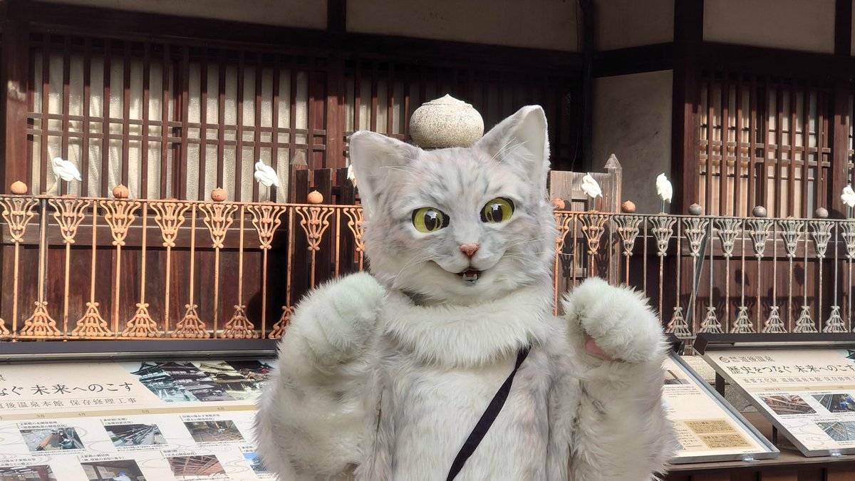 こんにちは(. ❛ ᴗ ❛.) 坂の上の猫プリンのアルバイト猫「ミクちゃん