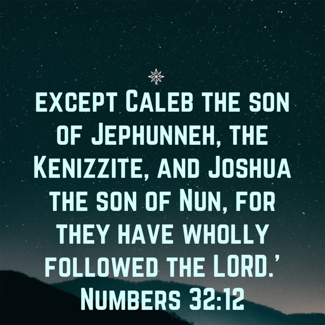 bayoolorunjo's tweet photo. Who we follow in life have a way of determining our future.  Many follow people they don’t know anything about their lives online. Joshua and Caleb followed the Lord! No wonder they stood out in their generation. WHO ARE YOU FOLLOWING?  https://t.co/kiaKkoYda4 https://t.co/bOLccqdODF