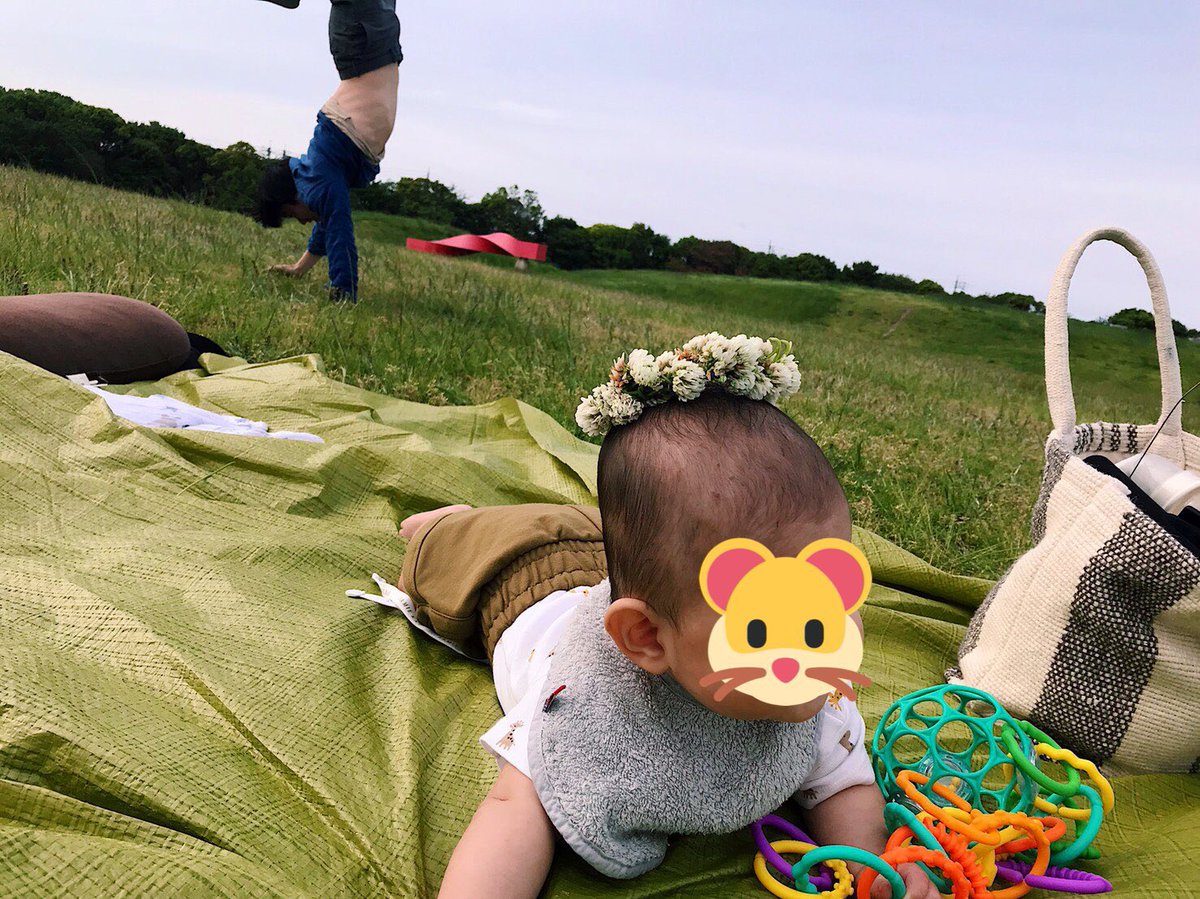 かしわ せいいっぱいの悪口 逆立ち生活