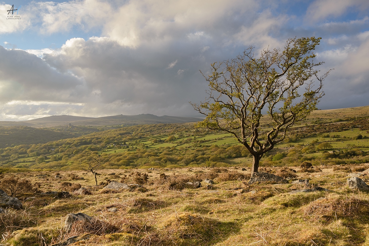 AlanHowe3's tweet image. I made it out with the camera! The first time in 3 months when conditions weren't uninspiring and I've not been doing something I couldn't get out of. Full story on my FB page
@kasefiltersuk @benrouk1 @dartmoormag @dartmoornpa @uknationalparks @OPOTY #Dartmoor #Devon
