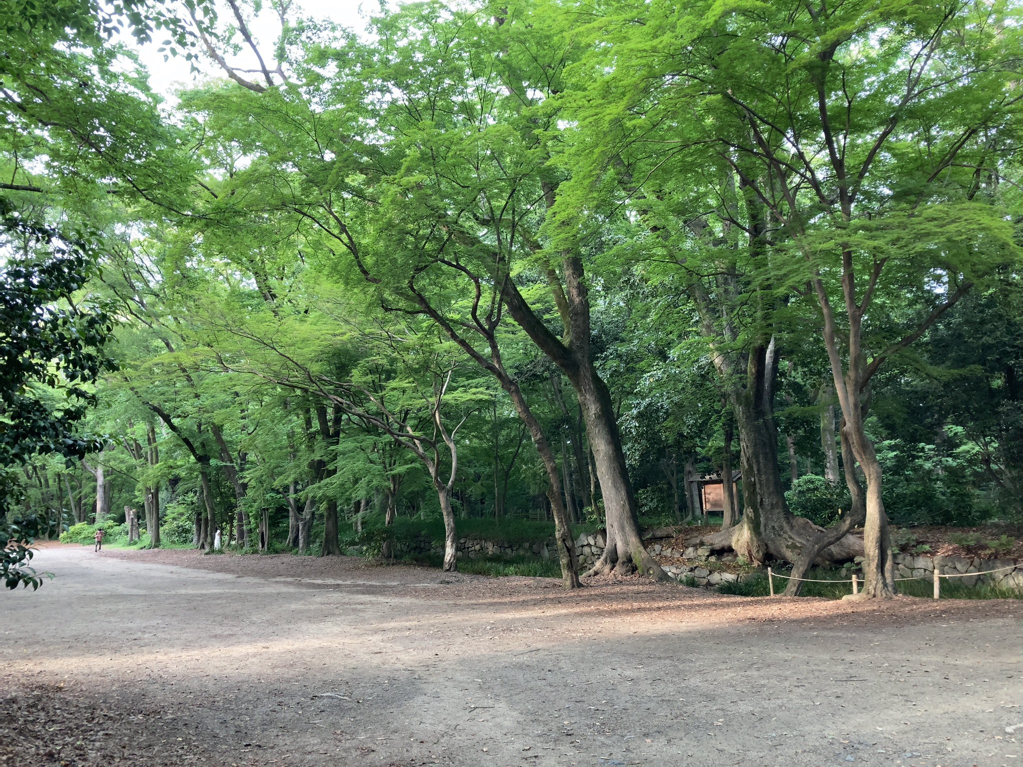 寺田大祐 世界遺産も観光客は数えるほど 近所のガキの遊び場になってる T Co Hu8l0vculn Twitter