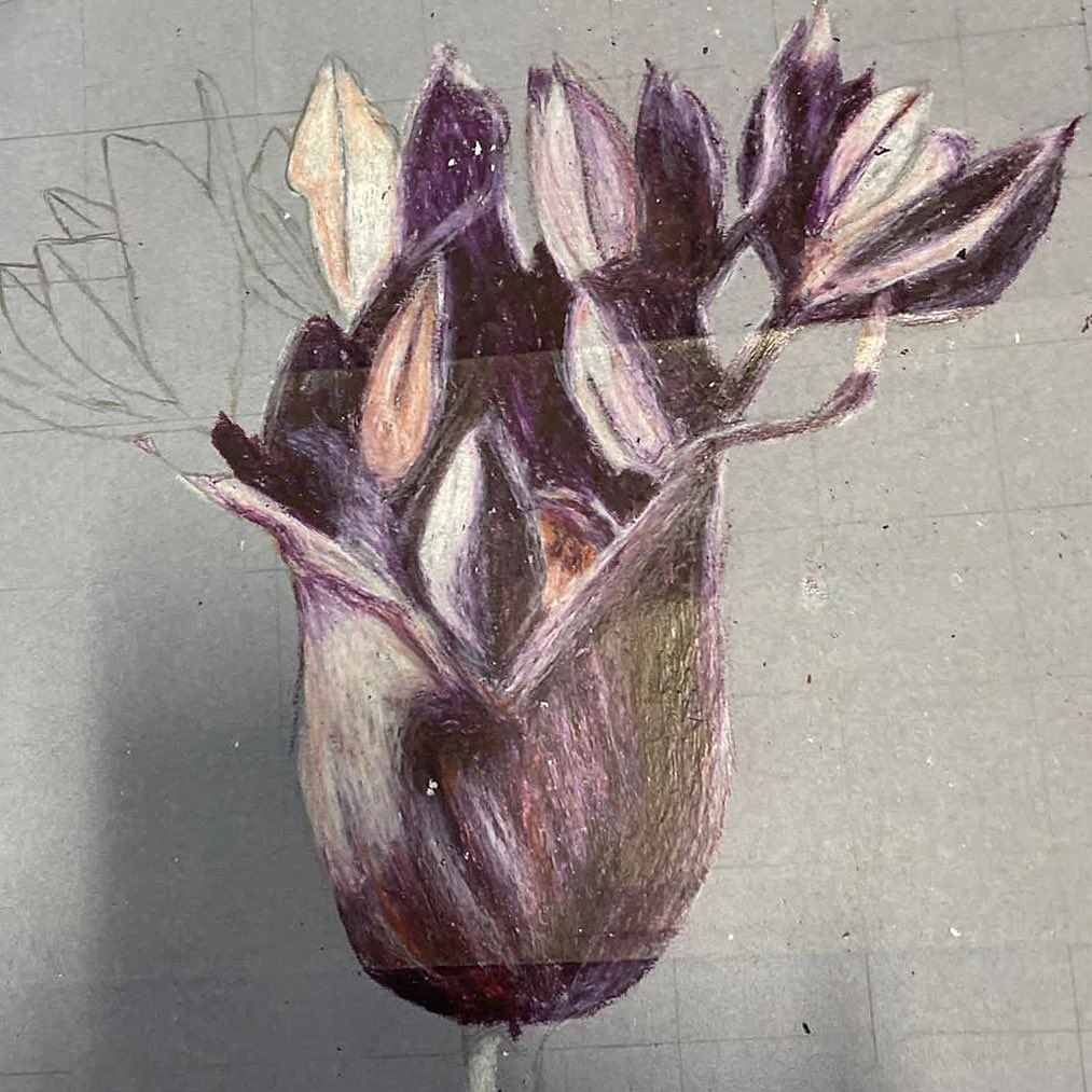 ‘In Action’, more year 7 stunning wax crayon pieces of natural forms #karlblossfeldt #karlblossfeldtinspired #year7art #year7artist #highschoolart