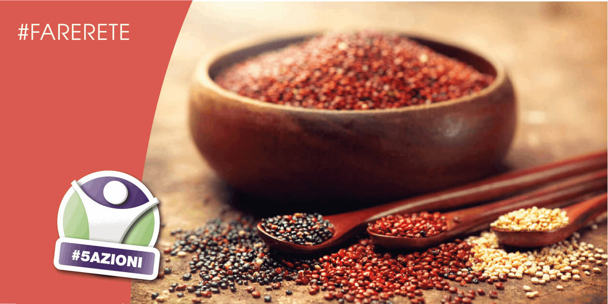5azioni's tweet photo. Probabilmente la quinoa è il cereale più indicato per chi ha il diabete. Contiene molti nutrienti, tra cui magnesio, vitamine B, ferro, a fronte di un basso indice glicemico di 51. Versatile e gustosa può essere usata dalla colazione alla cena.
https://t.co/TmFbDhp9IG
#5azioni https://t.co/5G8e1RK61s