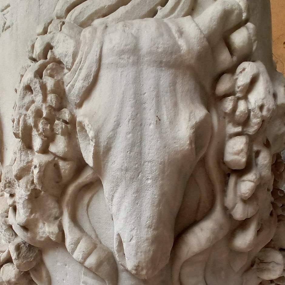 MuseoArcheoVene's tweet photo. #DIFFICULTWORDS
The BUCRANIUM is a decorative motif in Greek and Roman architecture and funerary art. It is the skull of an ox, represented from a frontal view. Bucrania were usually represented connected each other with garlands and with hanging ribbons.
https://t.co/kv0o7ALtLn https://t.co/TSJwhVrmiZ