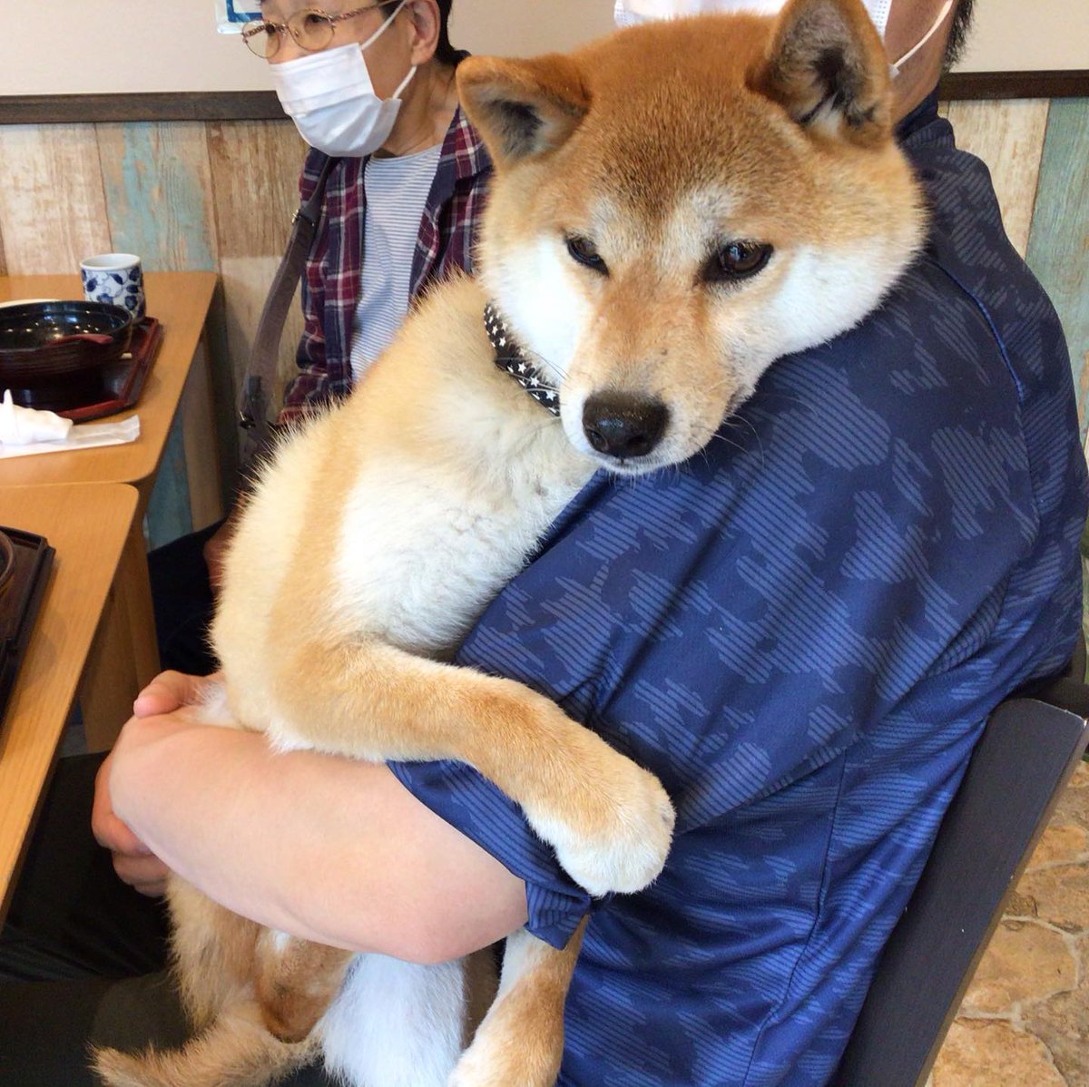 和食だワン Washokudawan Twitter