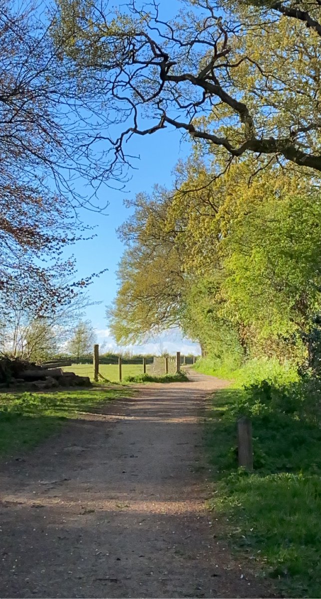 Royal High School PSHEE tweet media