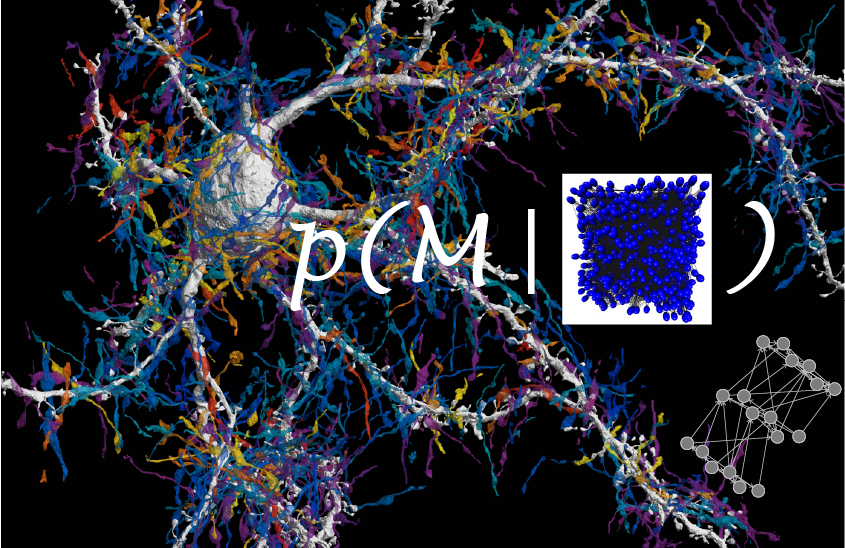 Moritz Helmstaedter tweet media