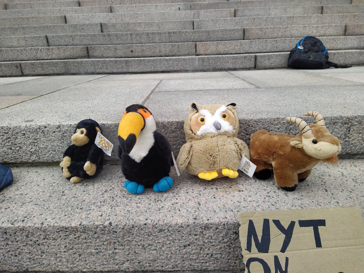 Pehmoleluja ilmastolakossa