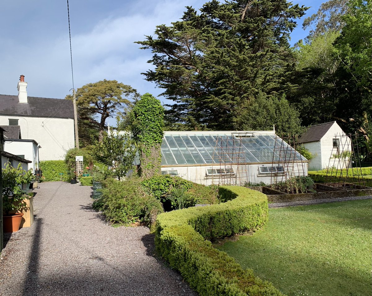 @Strongwesterlies (@derreen2) on Twitter photo It’s a fabulous Friday Morning here at Derreen. <a href="/norrislou/">Louise Power</a> <a href="/helenriddell/">Helen Riddell</a> <a href="/IrishAesthete/">TheIrishAesthete</a> Hope you all have a great day. It’s a fabulous Friday Morning here at Derreen. <a href="/norrislou/">Louise Power</a> <a href="/helenriddell/">Helen Riddell</a> <a href="/IrishAesthete/">TheIrishAesthete</a> Hope you all have a great day.