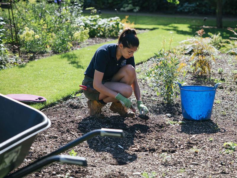 Sowerby Foundation (@petersowerbyfdn) on Twitter photo We are immensely proud to support the Ann Sowerby Horticultural Apprenticeship at <a href="/OBGHA/">University of Oxford Botanic Garden and Arboretum</a>
By nurturing the careers of young horticulturalists, the Apprenticeship is a fitting grant in recognition of Ann's lifetime passion🌱
bit.ly/3tMazZs
#Horticulture #Conservation We are immensely proud to support the Ann Sowerby Horticultural Apprenticeship at <a href="/OBGHA/">University of Oxford Botanic Garden and Arboretum</a>
By nurturing the careers of young horticulturalists, the Apprenticeship is a fitting grant in recognition of Ann's lifetime passion🌱
bit.ly/3tMazZs
#Horticulture #Conservation