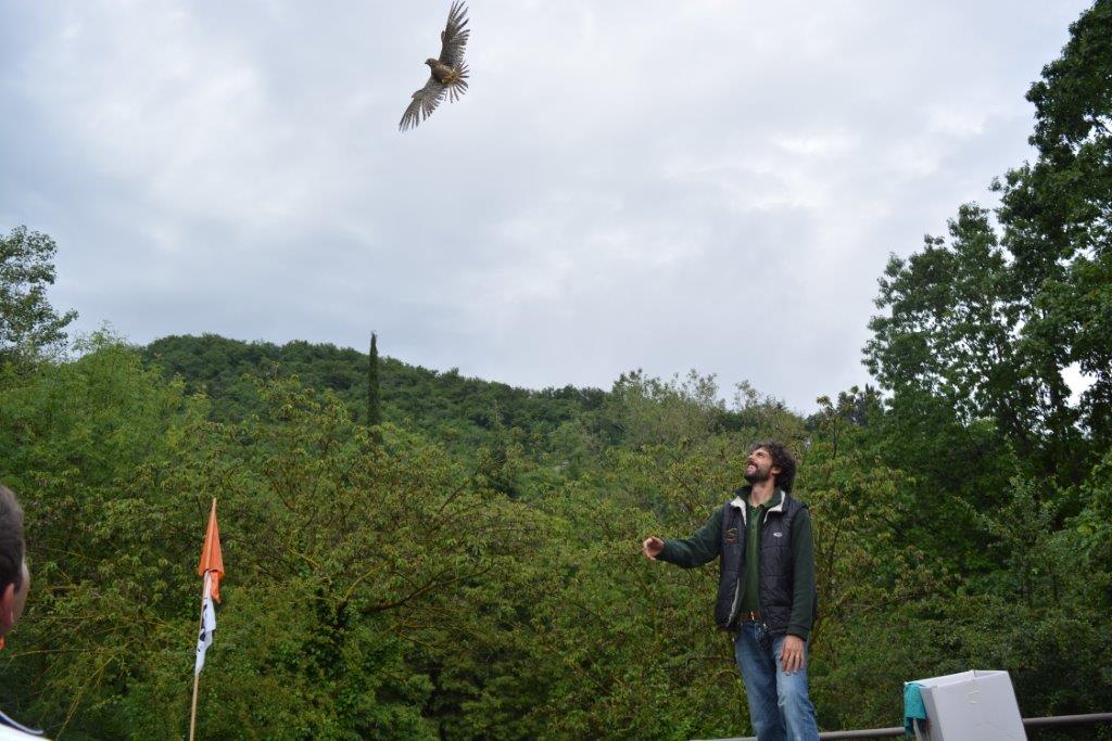 WWFitalia's tweet photo. Il #WWF dice NO al tentativo della Regione #Lombardia di limitare le competenze dell'ente gestore delle Oasi di #Valpredina e #Vanzago
Riserve naturali e aree #Natura2000 gestite dal WWF
Qui▶️https://t.co/uzrsCZj2sZ https://t.co/kLzOcFDq7G