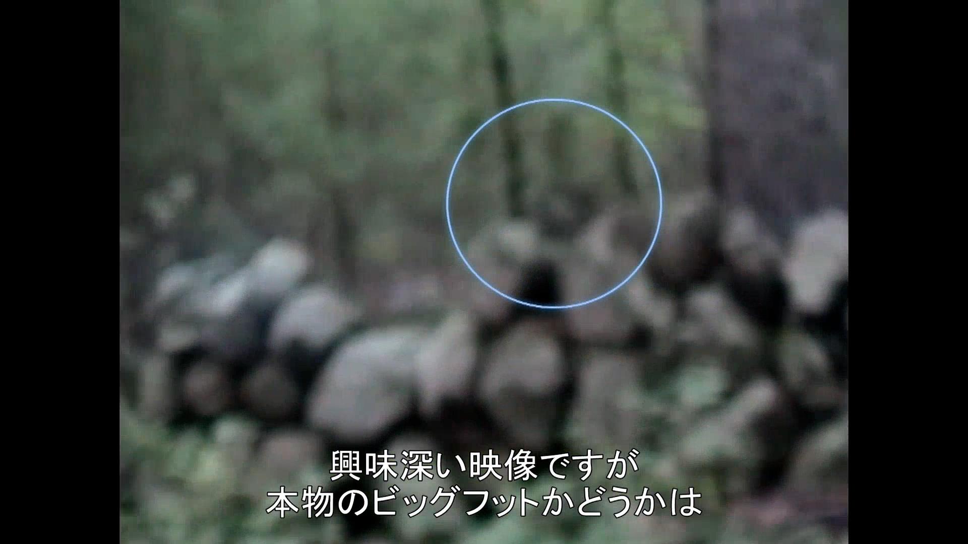 ディスカバリーチャンネル オバケとビッグフット遭遇して怖いのはどっちだ ビッグフットに出会える街で存在を検証してみた いや住民会いすぎでしょw 追跡 ビッグフット 謎の生物 T Co Gfv1kdf9gw ディスカバリーチャンネル ディスカバる