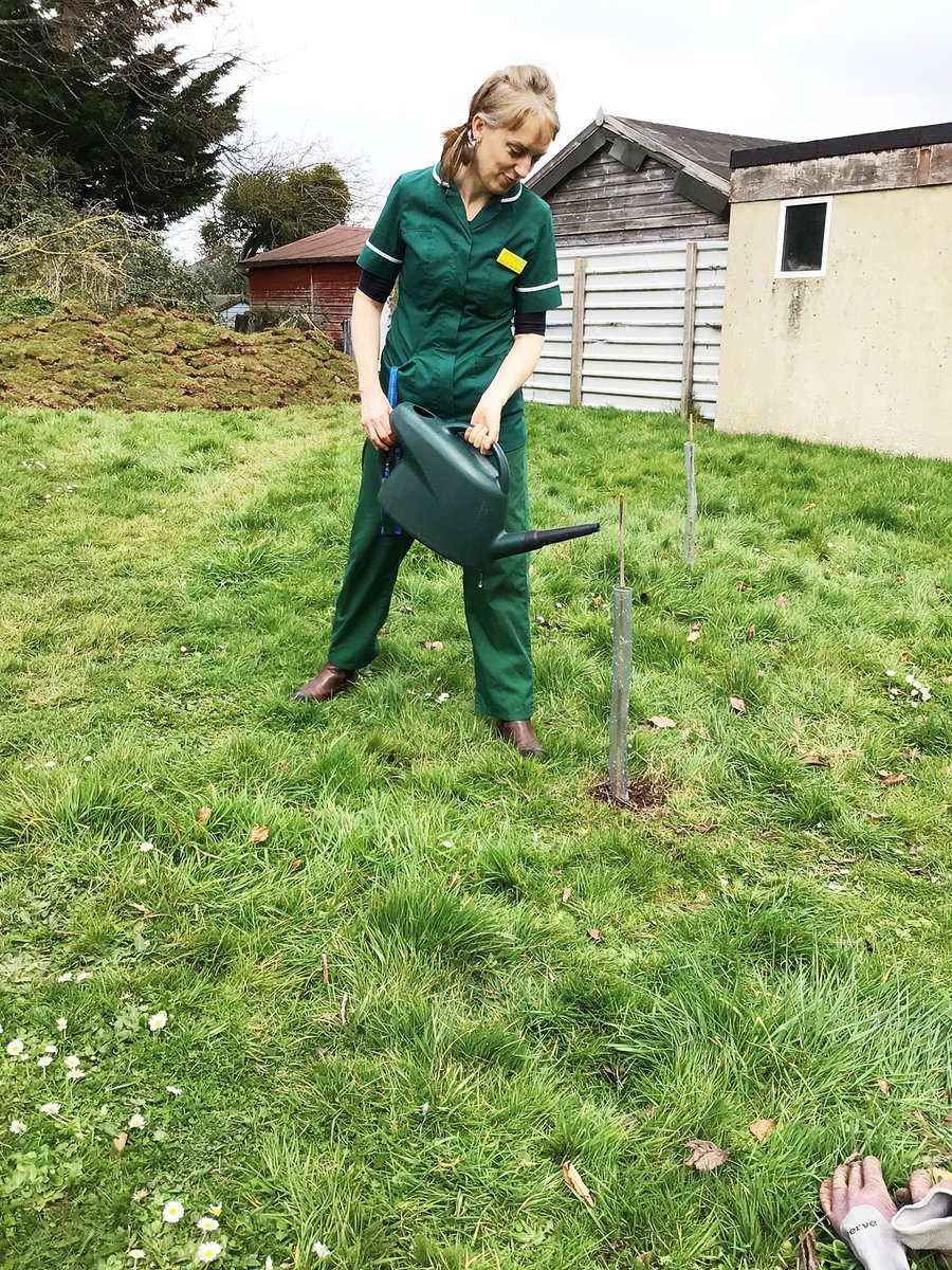 DPT_NHS's tweet photo. This #MHAW, we are celebrating #nature. Thanks to some wonderful donations by @DevonWildlife, the orchard at Franklyn Hospital in #Exeter is now flourishing and helps to reduce stress and improve #wellbeing for patients. Read more: https://t.co/TBWUariRIe #ConnectWithNature #NHS https://t.co/dImNYbnNeG