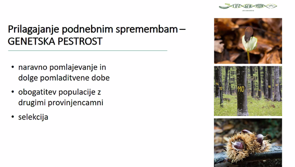 Lifegenmon (@lifegenmon) on Twitter photo na današnjem posvetu Partnerstvo za trajnostno rabo zemljišč in gozdarstvo je dr. Aleš Poljanec @zavodzagozdove izpostavil pomen genetske pestrosti gozdov za prilagajanje gozdov podnebnim spremembam in prispevek gozdov k preprečevanju podnebnih sprememb <a href="/care4climate/">CARE4CLIMATE</a> na današnjem posvetu Partnerstvo za trajnostno rabo zemljišč in gozdarstvo je dr. Aleš Poljanec @zavodzagozdove izpostavil pomen genetske pestrosti gozdov za prilagajanje gozdov podnebnim spremembam in prispevek gozdov k preprečevanju podnebnih sprememb <a href="/care4climate/">CARE4CLIMATE</a>
