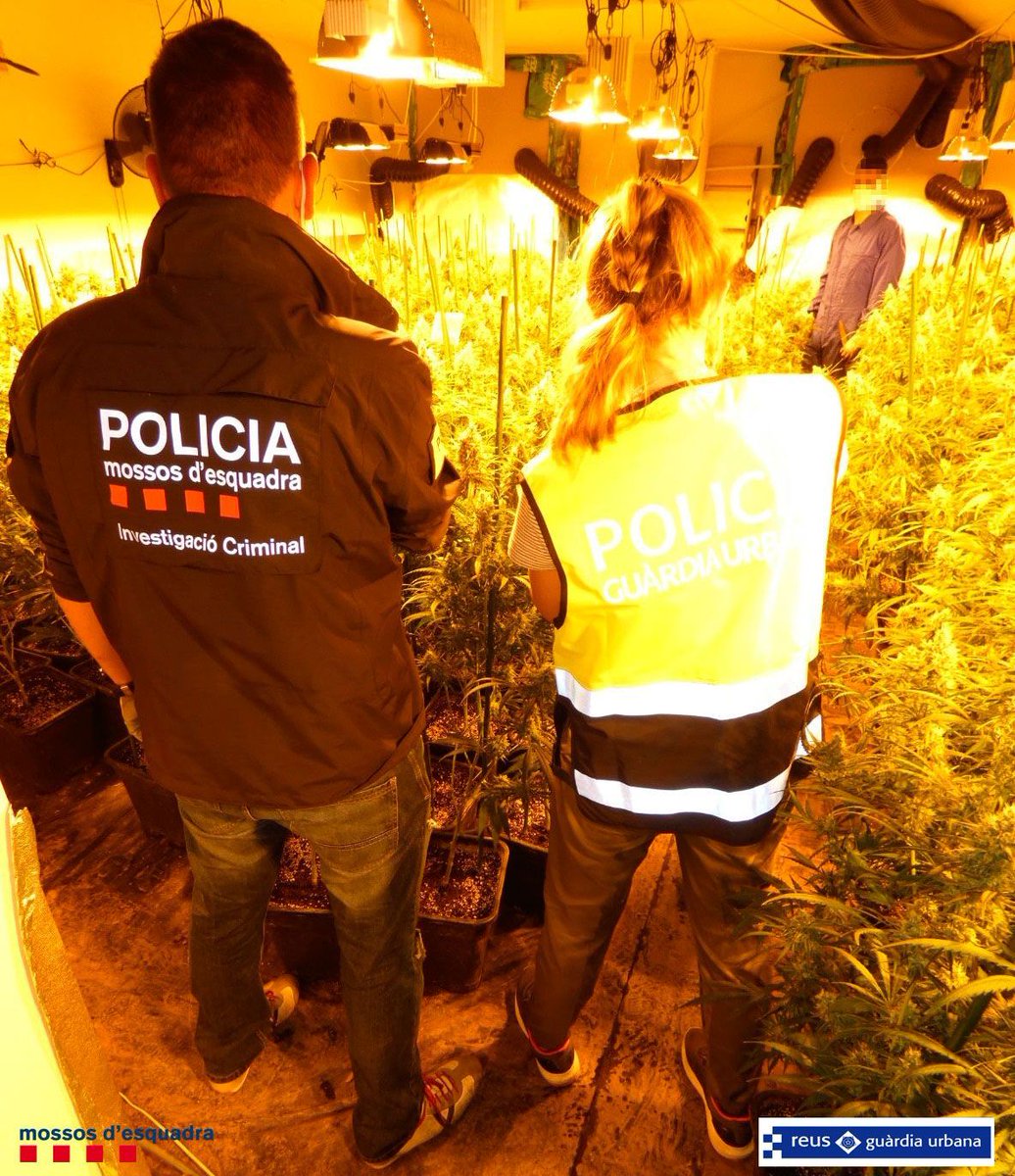 Guàrdia Urbana Reus tweet media