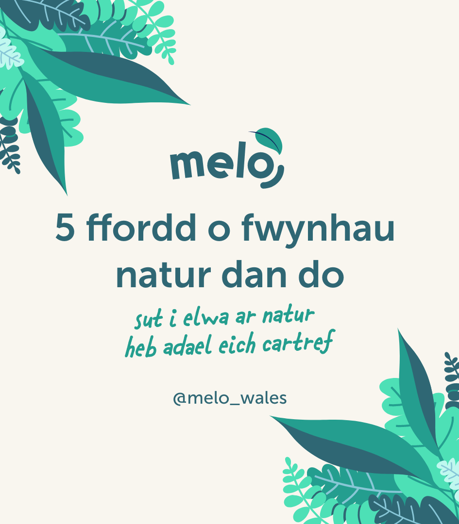 Melo Cymru 🏴󠁧󠁢󠁷󠁬󠁳󠁿 tweet media