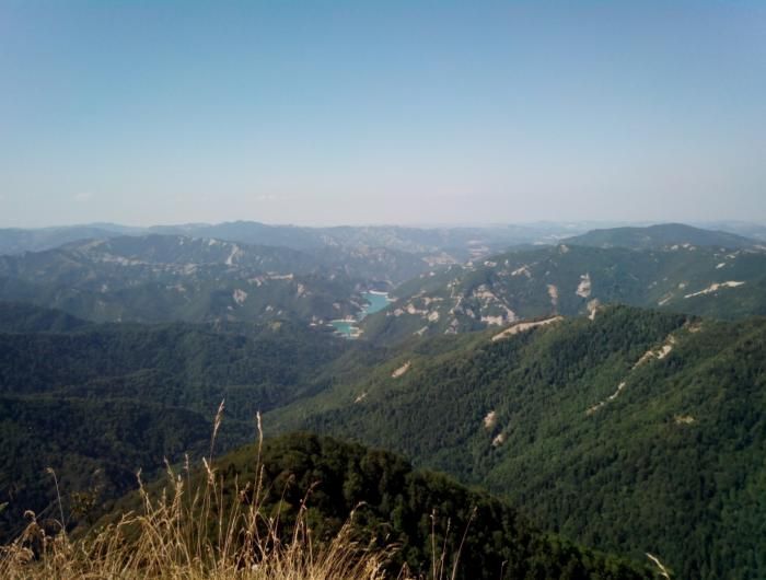 VecchieVie's tweet photo. Facile escursione per scoprire il #parconaturaledelleforestecasentinesi.
https://t.co/qNe4P28dqP https://t.co/TDimLl7qPr
