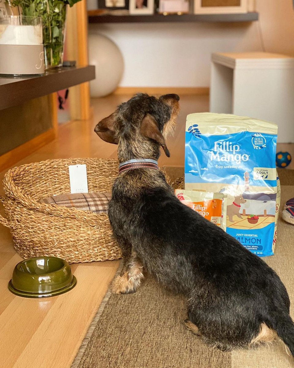 ¿Quieres ofrecerle a tus clientes productos más naturales🌿 que contribuyan con la alimentación balanceada de sus mascotas?

Hablemos y llenemos tus escaparates de marcas con propósito como #FillipMango🐶

 💌 hello@fillipmango.com 

#FelizViernesATodos #FelizFinde