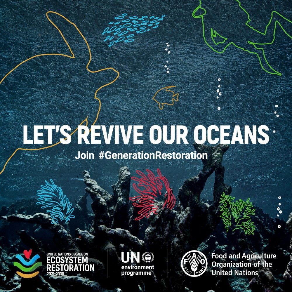 Our oceans face unprecedented challenges.

It's time to work to restore oceans &amp; coasts by
🔵Reducing pressure on them
🔵Letting them recover naturally
🔵Restoring coral reefs and other key habitats

Learn what to do: bit.ly/3tHWME6 &amp; join #GenerationRestoration