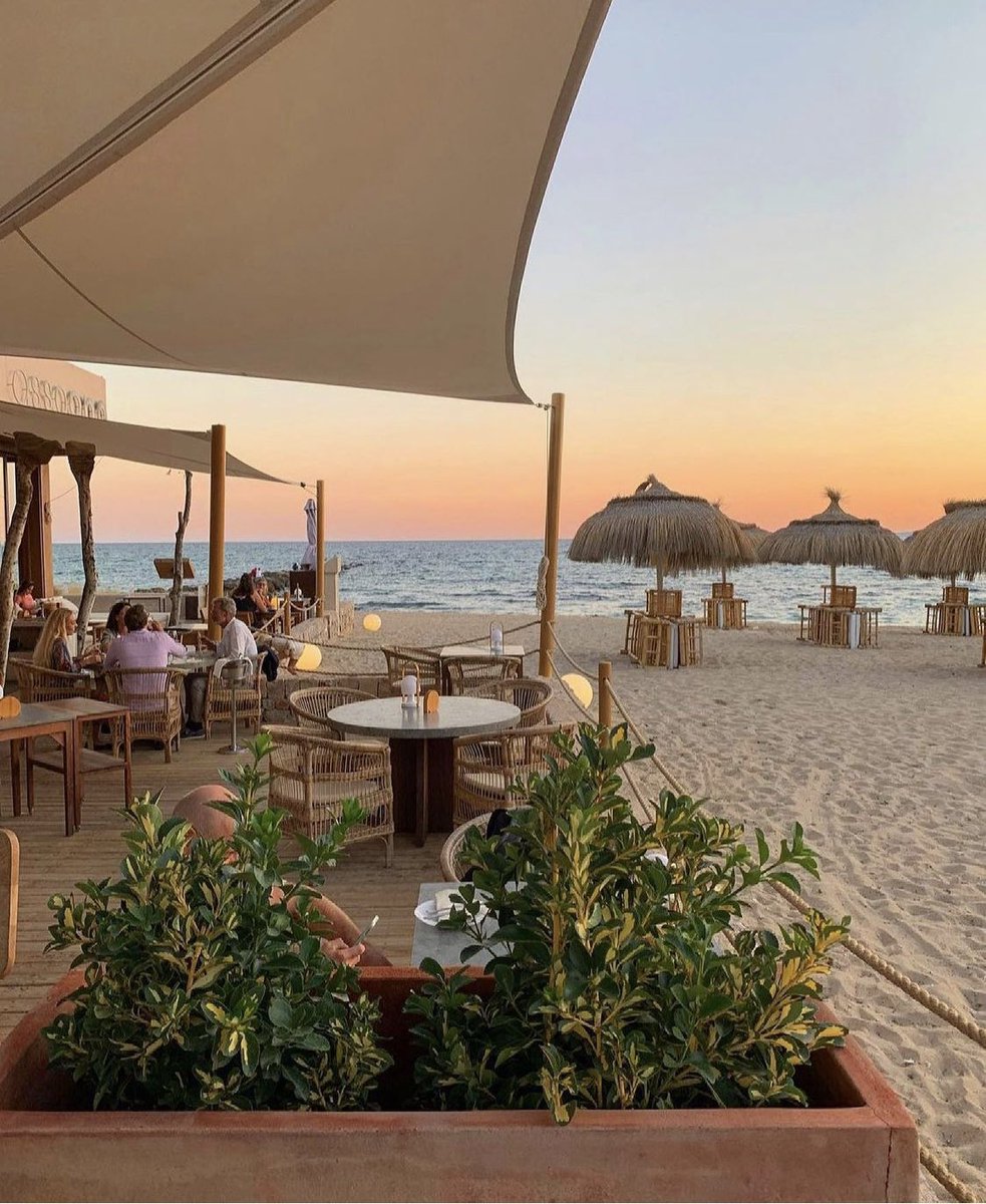 tmbIrpics's tweet photo. Dose of  magic in Mallorca https://t.co/9QUsMjclXc