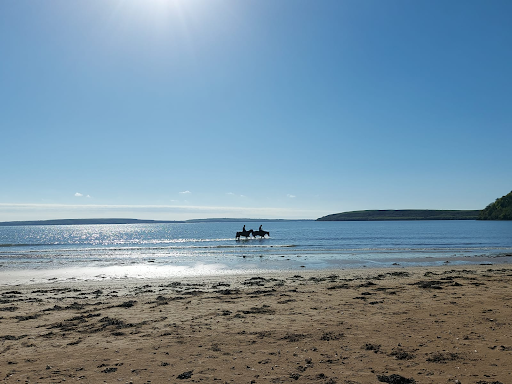 Early morning walks.. Woodstown Beach, Co. Waterford 😍