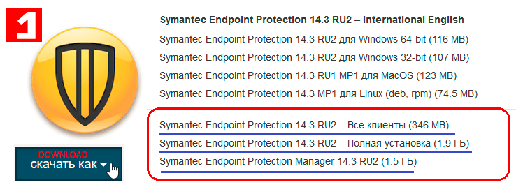 symantec endpoint protection 14 update definition download