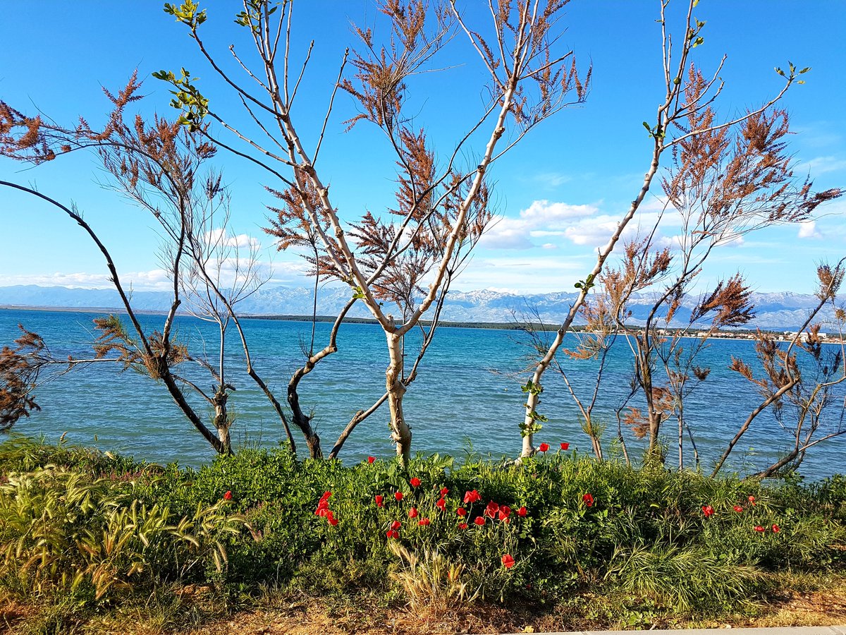 Hello Friday!! 🌞🥰❤

Foto: Marija Dejanović

#visitnin #zadar_region #croatiafulloflife #CroatiaLongDistanceLove
#EnjoyTheViewFromCroatia #EBD #EDENDestination #DiscoverTheColoursOfCroatia #Tourism4Recovery #SafeStayInCroatia #visiteurope