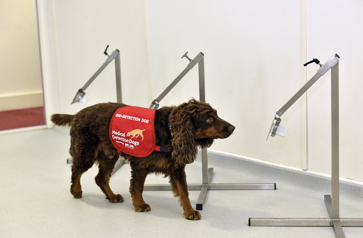 DerbyDaybreak Rotary tweet media