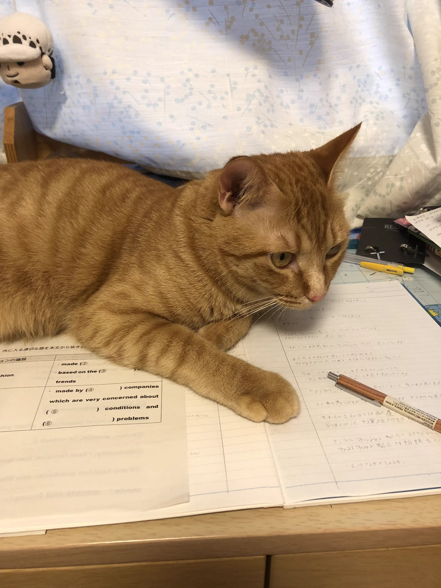 @nemu_catlog 勉強禁止令が出された 